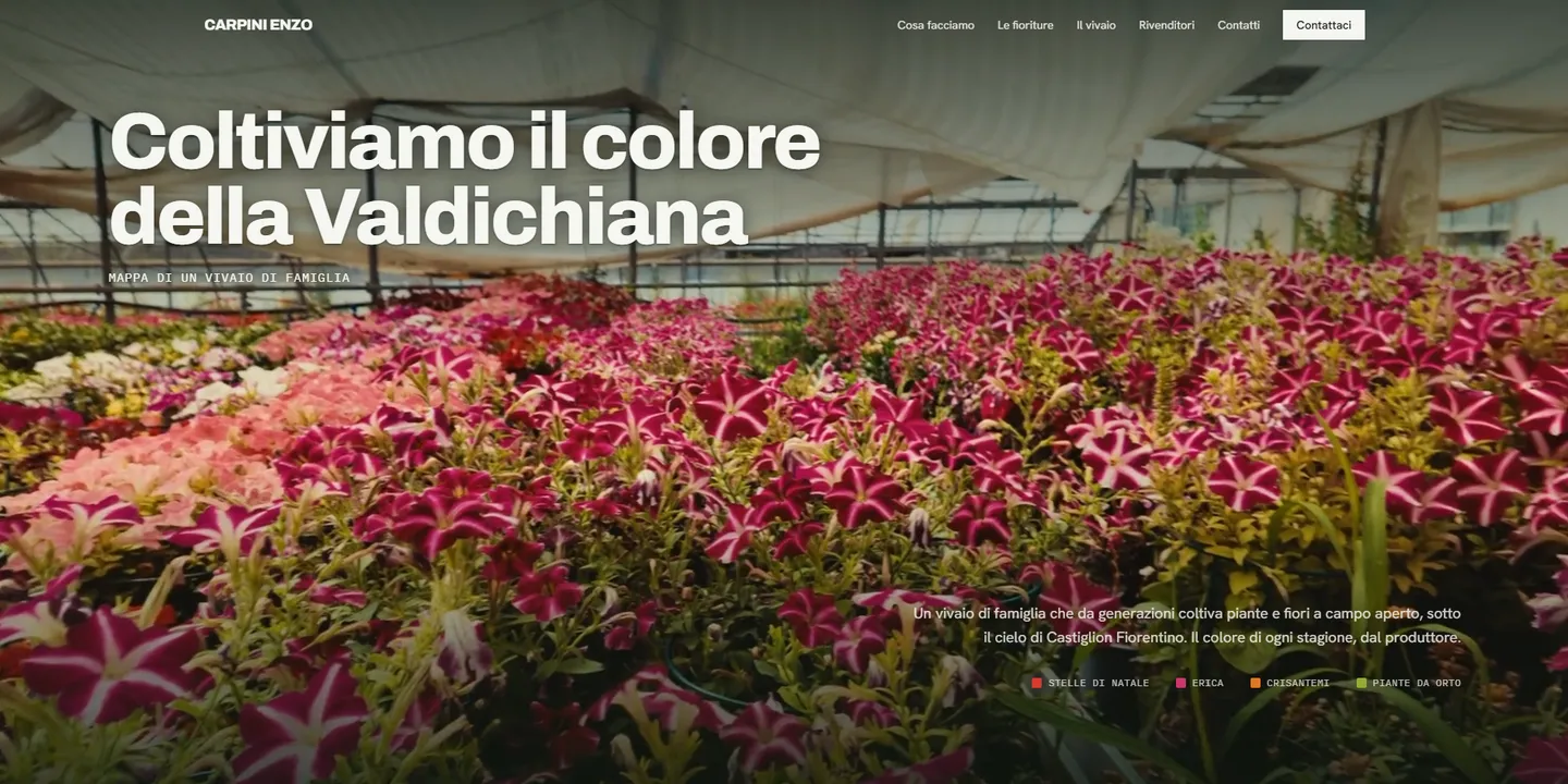 Anteprima del sito Carpini