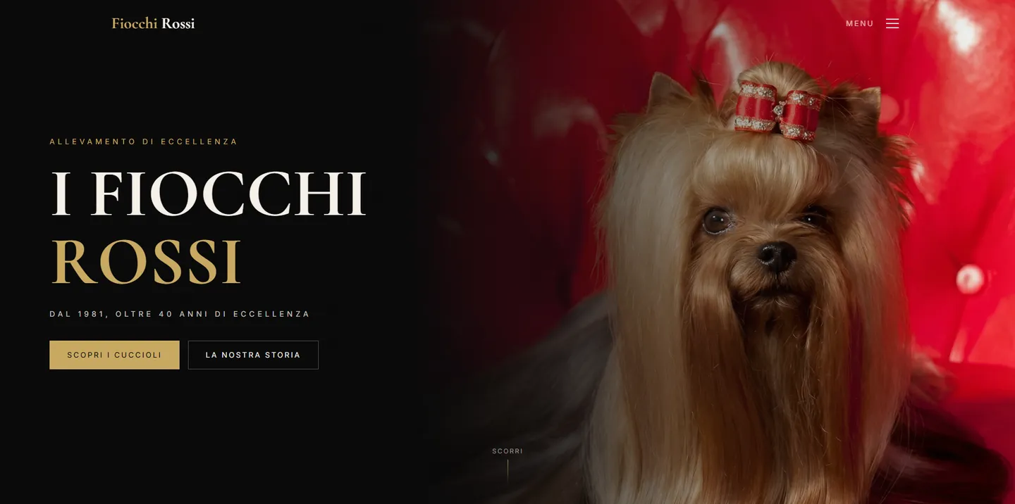 Anteprima del sito Fiocchi Rossi